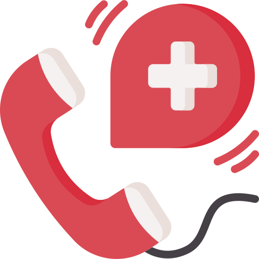 Emergency SEO Issues